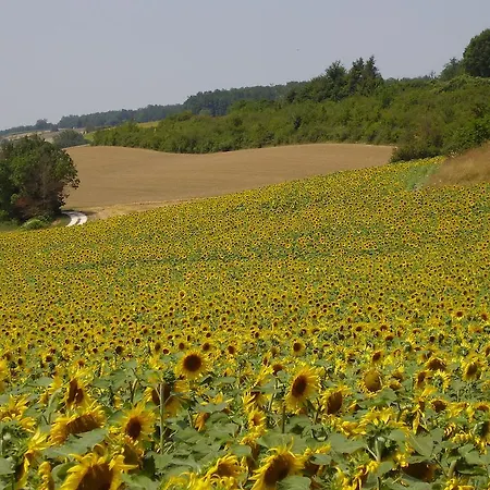 Les Bellesvues, Gites & Chalet