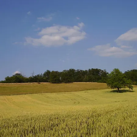 Bed & Breakfast Les Bellesvues, Gites & Chalet Merignac (Charente-Maritime)